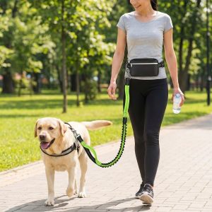 Draagbare hondenhardlooplijn | DOGZIP